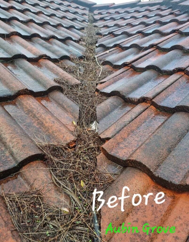 Gutter and roof cleaning Perth