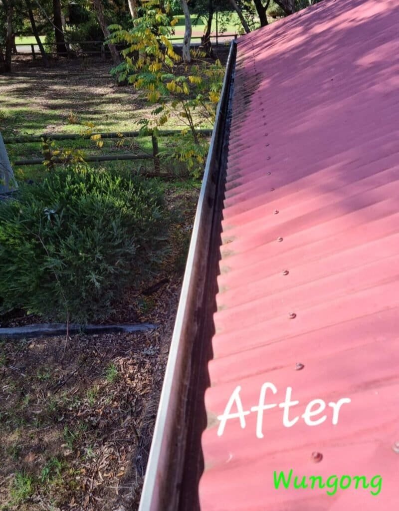 Result Picture of a southern suburbs gutter cleaning.