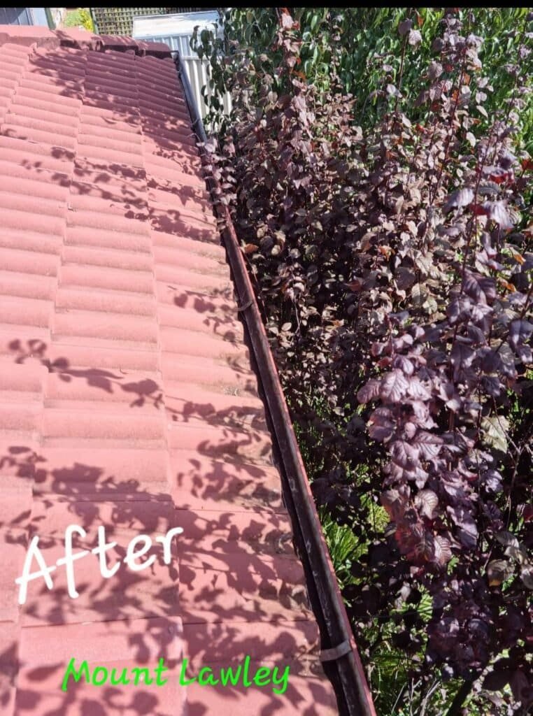 Gutter cleaning near Perth