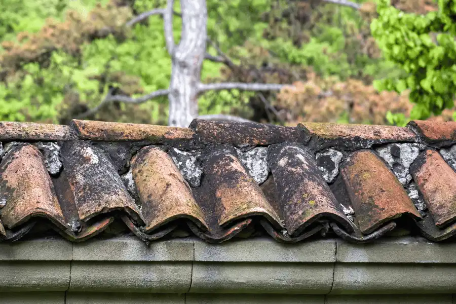 Gutters Impact on Yard and Soil Health