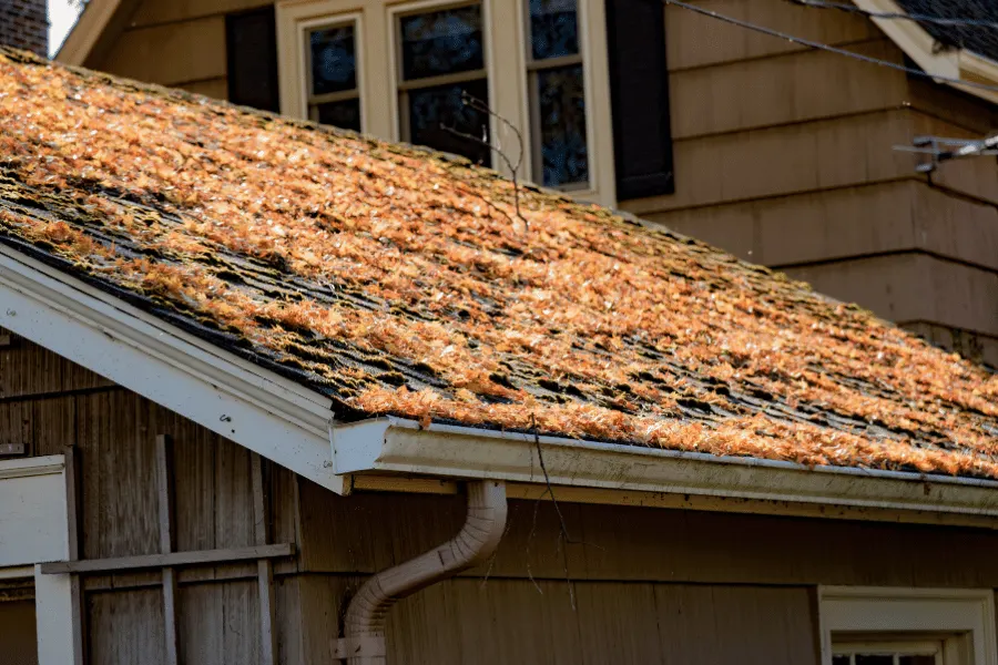 Residential Gutter Cleaning