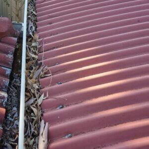 Gutter Cleaning Professionals in Perth WA