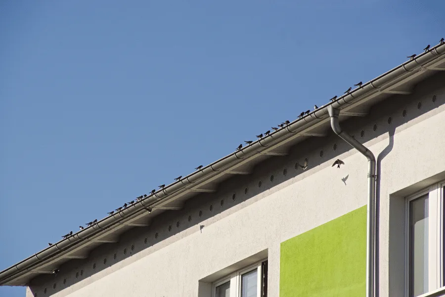 Reliable School Childcare Gutter Cleaning Perth